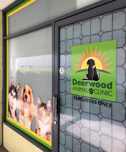 Window Graphics